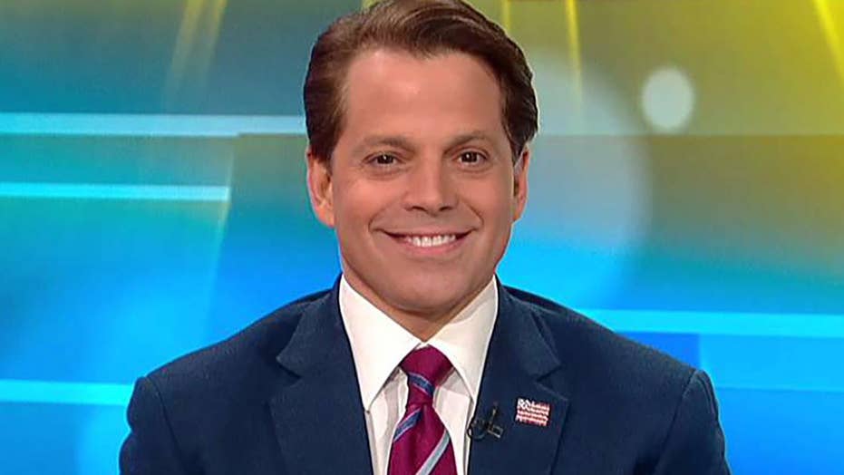 Scaramucci says Trump is unlikely to drain swamp because swamp ‘may not have a drain’
