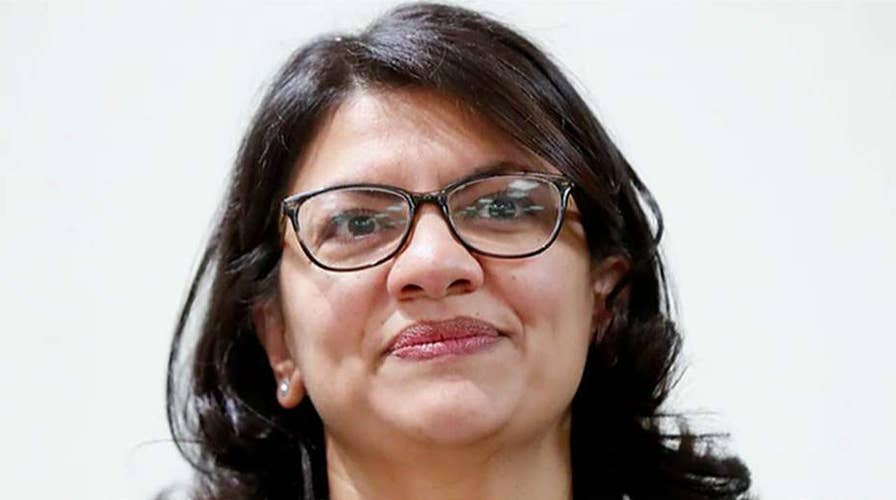 Could Michigan Congresswoman Rasheda Tlaib’s profane call for the president’s impeachment hurt the Democrat Party?