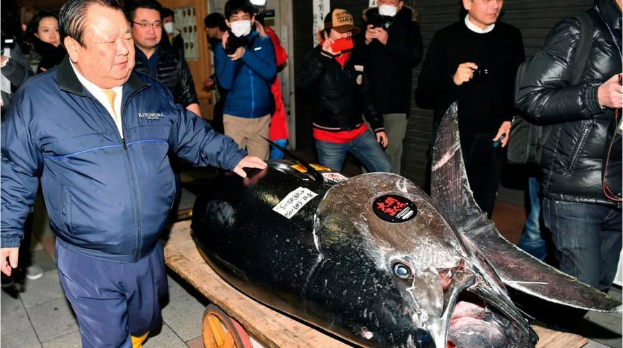 Japanese 'Tuna King' pays record $3M for prized bluefin Tuna at