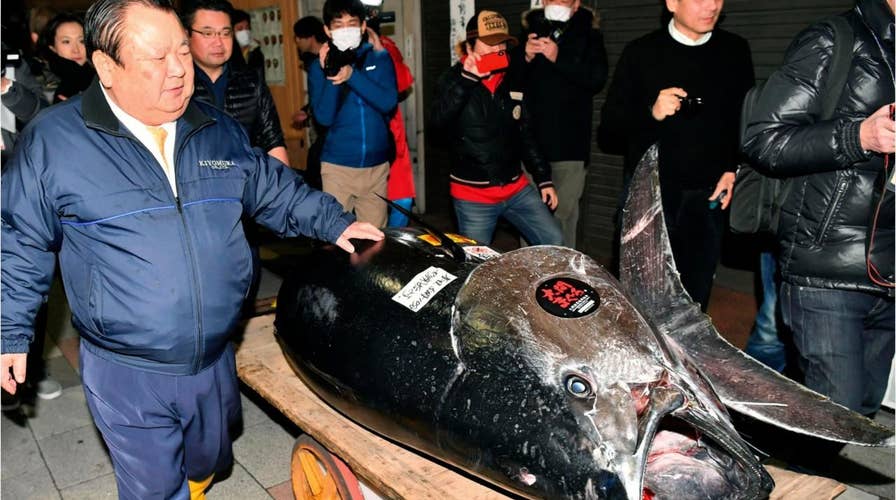 Japanese ‘Tuna King’ pays record $3M for prized Bluefin Tuna