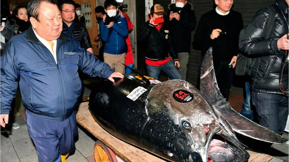 Japanese 'Tuna King' pays record 3M for prized bluefin Tuna at famed