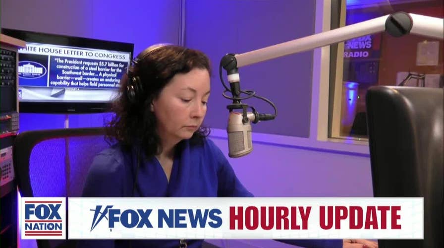 Fox News Brief 01-07-2019 02PM