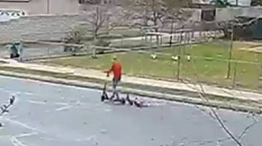Disturbing Video: Home security system captured video of the dog being dragged behind an electric scooter