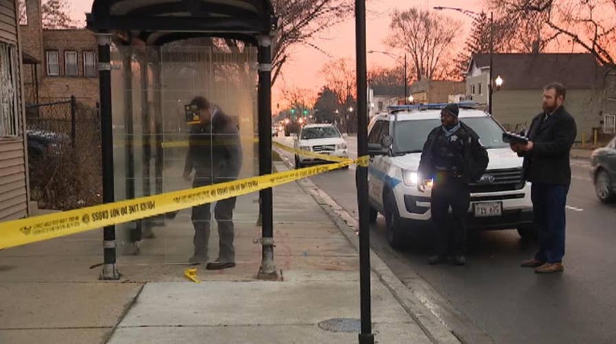 Woman with concealed carry license shoots and kills attempted robber at bus stop in Chicago, say police