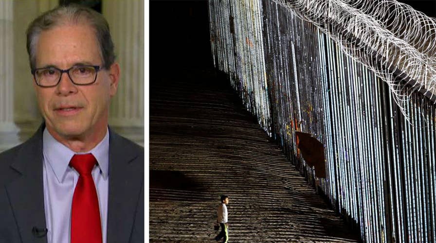 Sen. Mike Braun on border security battle: The merits of the case favor Republicans
