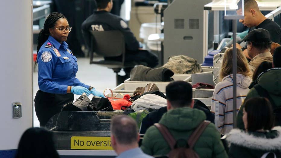 Some airports report longer security lines as unpaid TSA agents call in sick over partial government shutdown