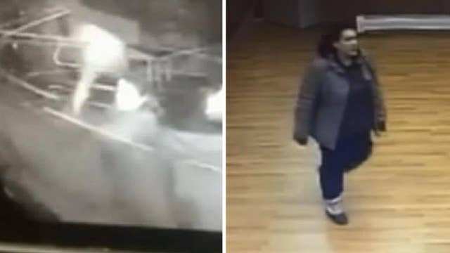 Surveillance Cameras Capture Woman Smash Her Way Into Police Station