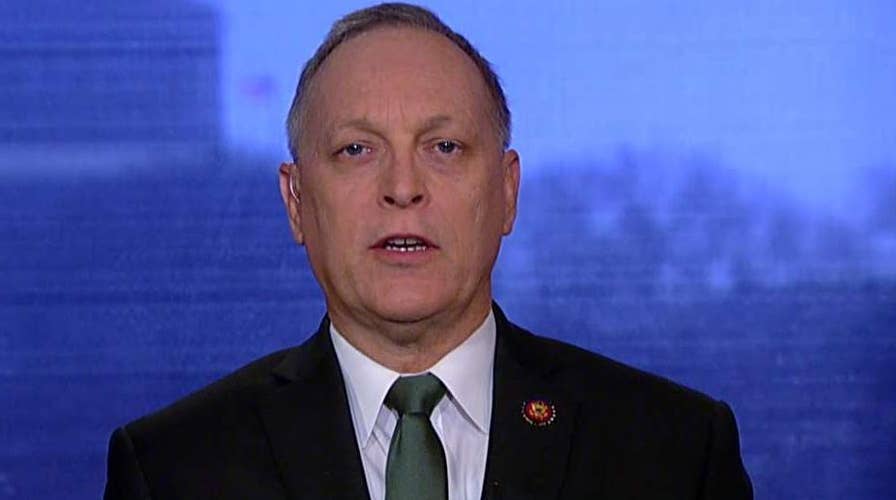 Biggs: Neither side is willing to budge on border security funding, Trump is locked in on getting this accomplished