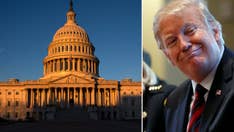 Trump says ‘drone flying around’ will not stop new migrant caravan: ‘Only a Wall’