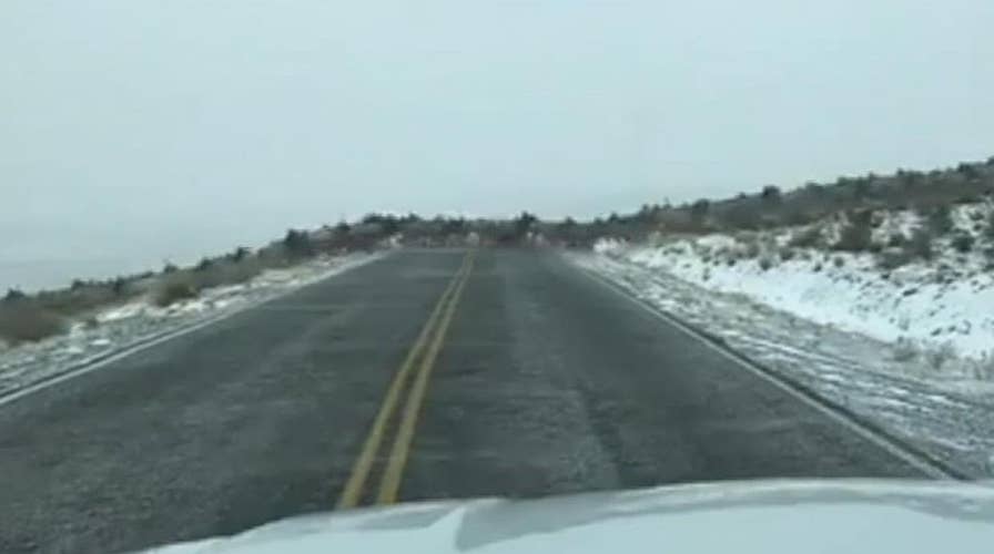 Hundreds of elk run across highway in Washington delaying traffic