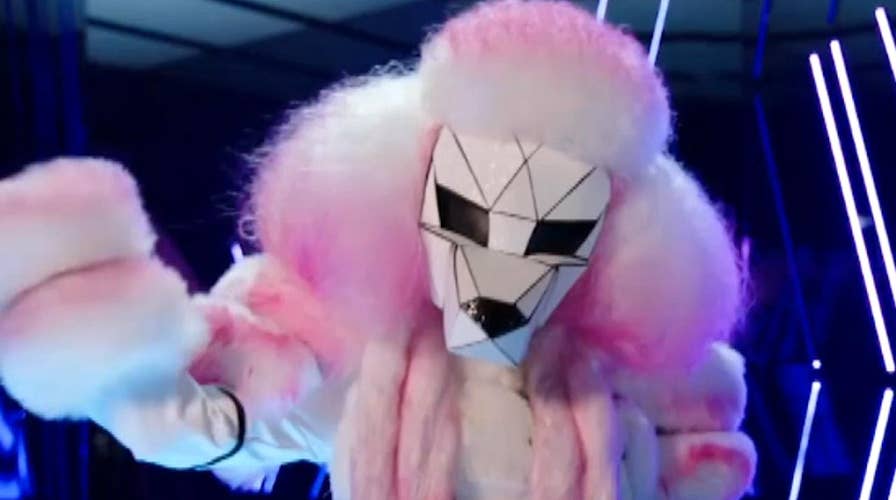 'The Masked Singer' keeps panelists and audiences guessing