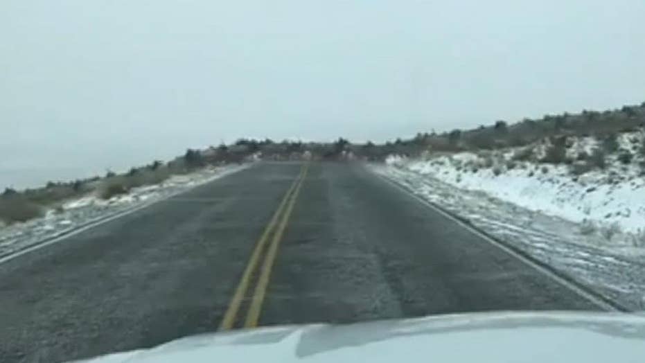 Hundreds of elk seen streaming across road in video