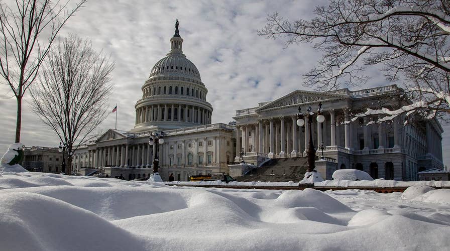 Will the partial government shutdown affect the 2020 election cycle?