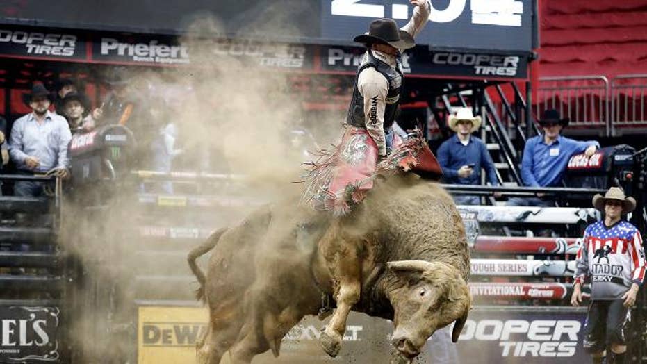 Bull that killed professional rider Mason Lowe will remain on PBR circuit, CEO says