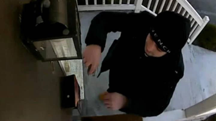 Woman finds marijuana in her mailbox; cops look to identify man seen on camera making the special delivery