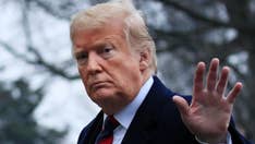 Trump has Democrats ‘in a corner’ with compromise to end partial shutdown, Dan Bongino says