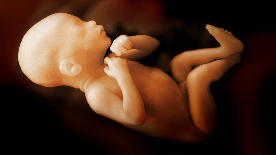 New York 'celebrates' legalizing abortion until birth as Catholic