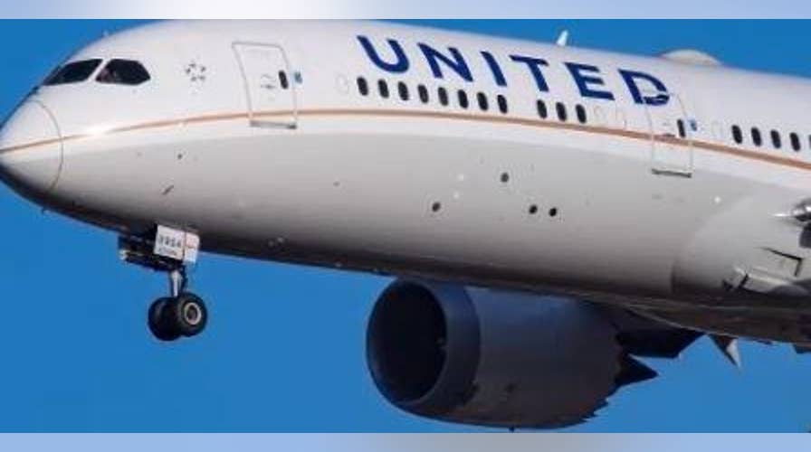 United passenger sues airline for covering up incident that 'nearly resulted in the loss of all life aboard'