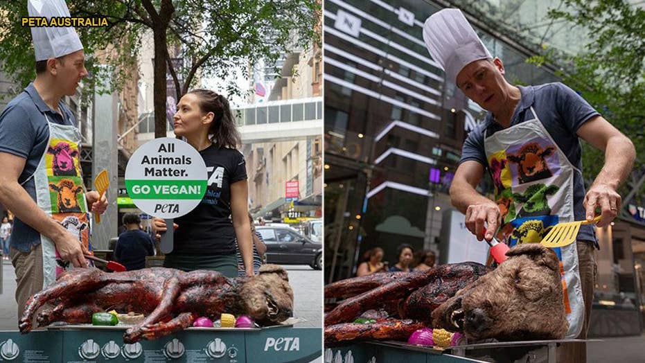 PETA Grill Prop Dog In Disturbing Demonstration Promoting Veganism At ...