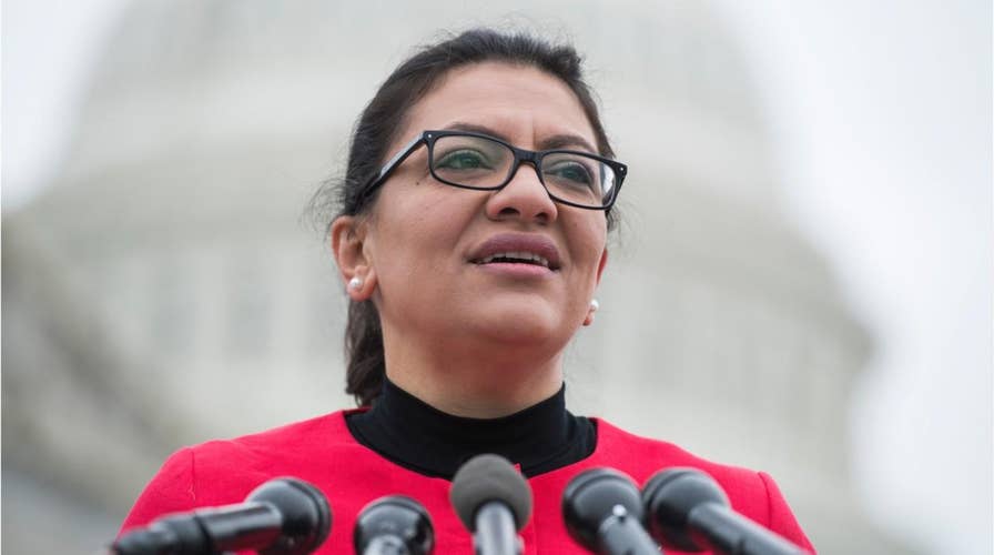 Rashida Tlaib once complained sister was on no-fly list – now that she’s in Congress, details on status are scarce
