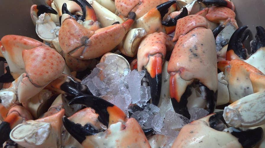 Red tide hurting Florida stone crab fisherman