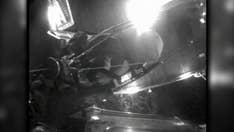 US Coast Guard medevacs elderly Carnival Cruise passenger off ship after fall