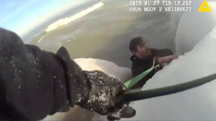 Chicago cops form human chain to save man who fell in frigid waters trying to rescue his dog