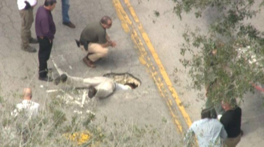 Underground tunnel leading to bank discovered in Florida