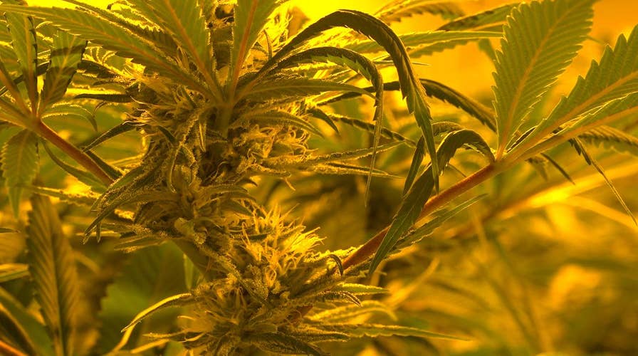 Big tobacco eyes cannabis as cigarette sales decline