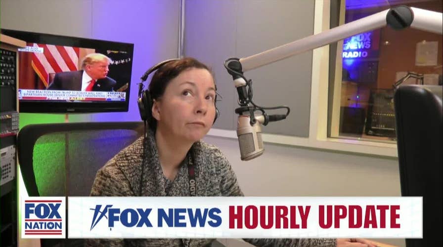 Fox News Brief 02-01-2019 01PM