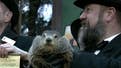 Punxsutawney Phil predicts an early spring
