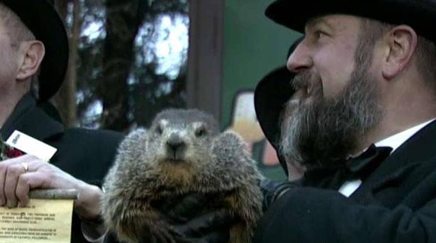 Punxsutawney Phil predicts an early spring