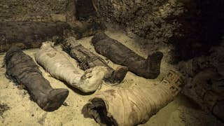 Dozens of human mummies found in Egyptian tombs - Fox News