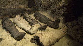 Amazing mummies discovery: Remains of dozens of people, including children, found in Egyptian tombs