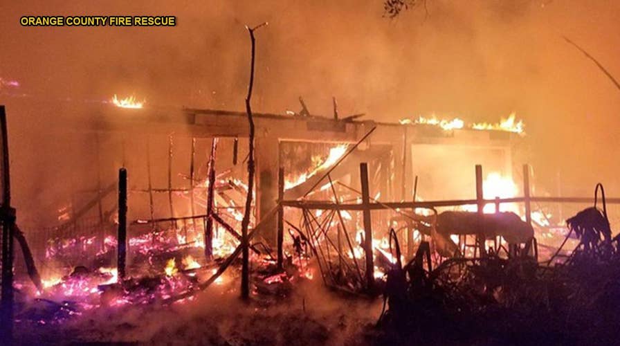 Fire at Florida wildlife sanctuary kills 33 animals, birds