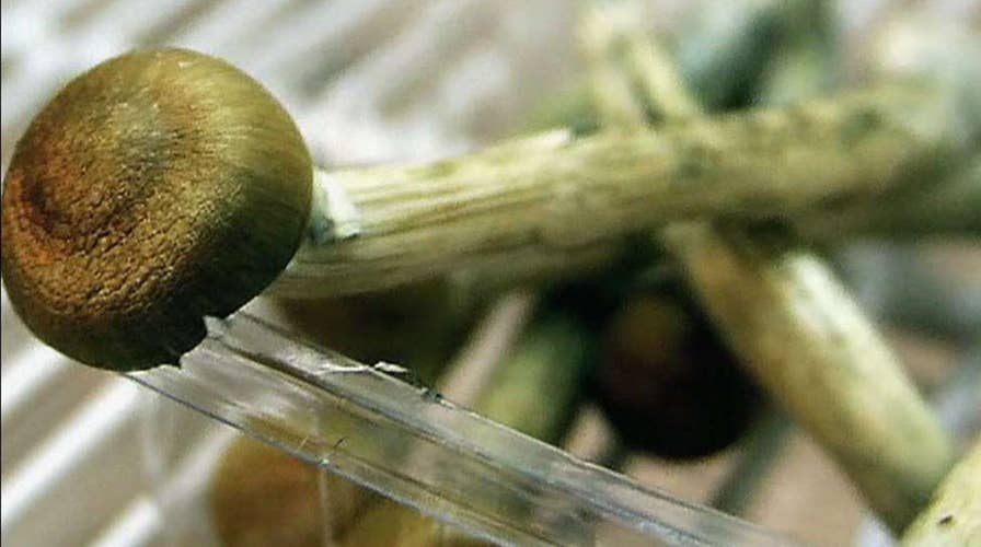 Denver voters set to decide whether to decriminalize psychedelic mushrooms