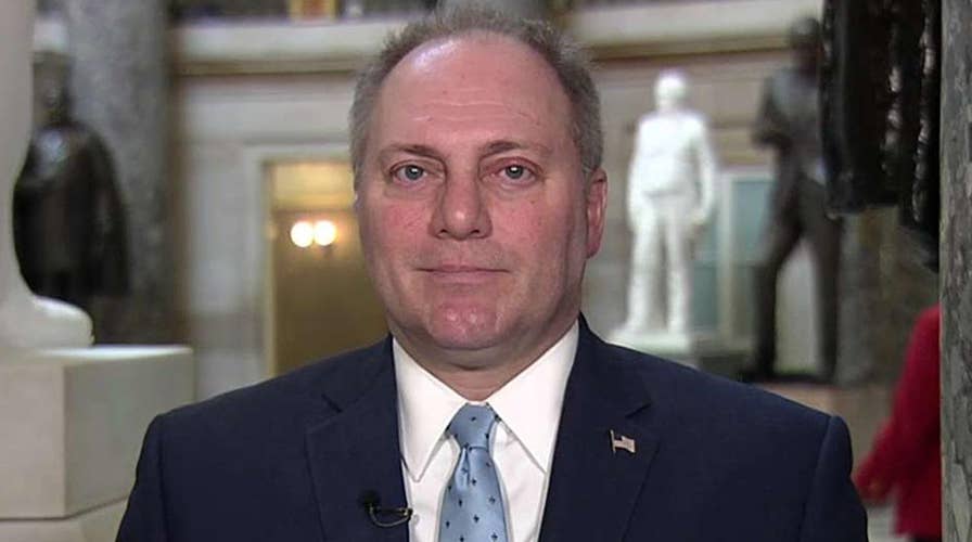 Scalise on the State of the Union: Democrats only stood up and cheered when it was their personal successes