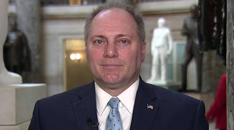 Scalise on the State of the Union: Democrats only stood up and cheered when it was their personal successes