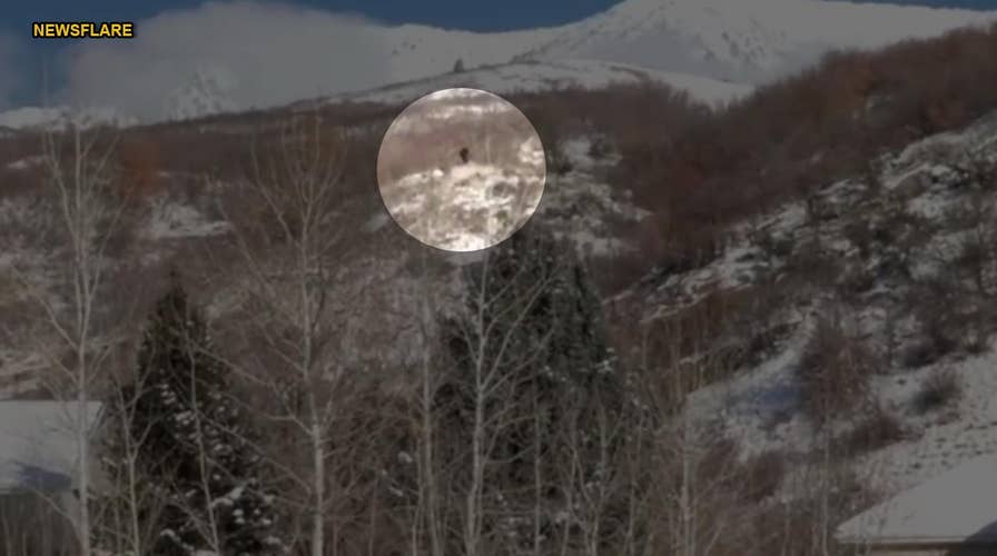 WATCH: Hunters claim 'Bigfoot' sighting in Utah mountains