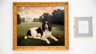 American Kennel Club reopens the Museum of the Dog - Fox News