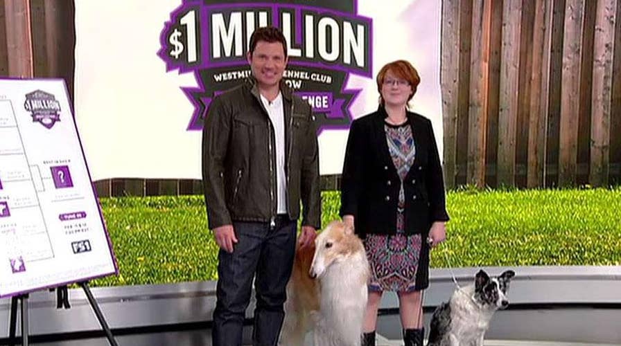 Purina Pro Plan hosts the $1 million Westminster Kennel Club Dog Show bracket challenge