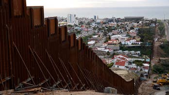 Top ICE official slams Dem proposal to limit number of beds in immigration detention centers