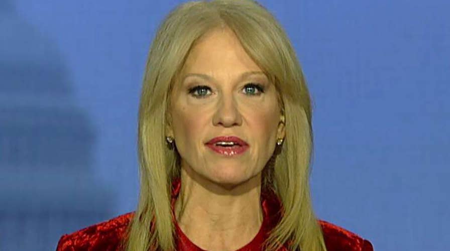Kellyanne Conway slams 'bigmouth Democrats' seeking to defund ICE, says Democrats would own next shutdown