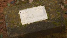 Skull discovered in California linked by DNA to cold case killing of mother of 2