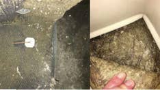 Military families warn of unsafe housing: rats, toxic mold and more