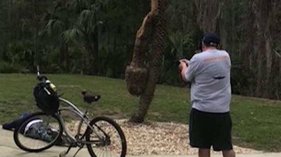 Florida homeowner holds a would-be-thief at gunpoint