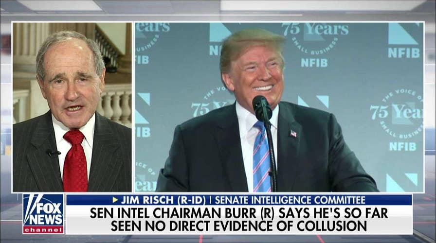GOP Sen. Risch Says There's Still No Evidence of Trump-Russia Collusion