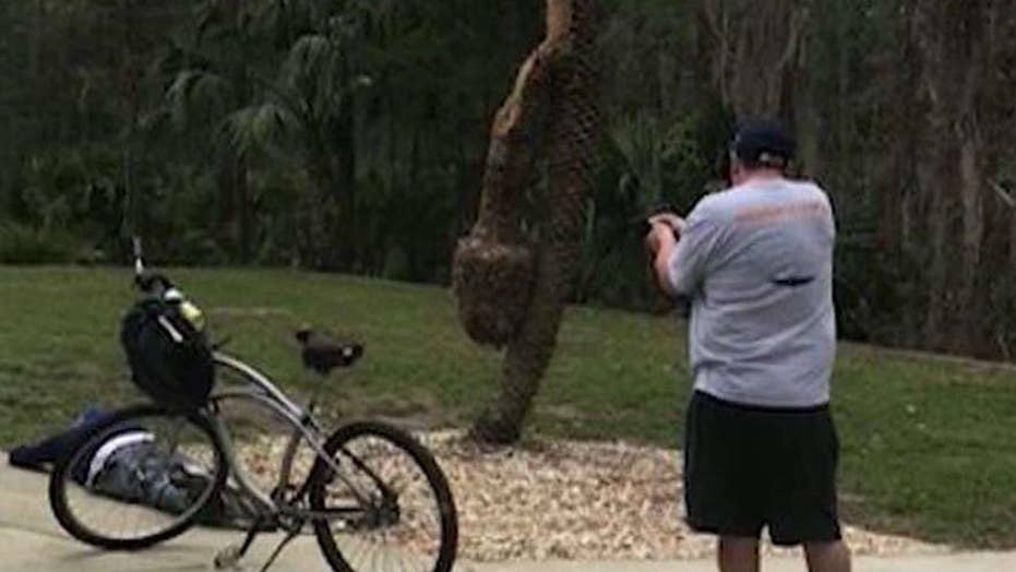 Florida Man Holds Burglary Suspect At Gunpoint Until Police Arrive Florida Man Holds Burglary Suspect At Gunpoint Until Police Arrive