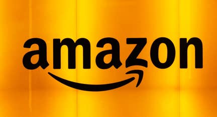 Doug Schoen: Amazon’s cancellation of move to NYC is catastrophic and could hurt far-left Dems at polls
