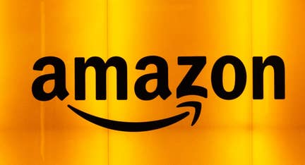 Doug Schoen: Amazon’s cancellation of move to NYC is catastrophic and could hurt far-left Dems at polls